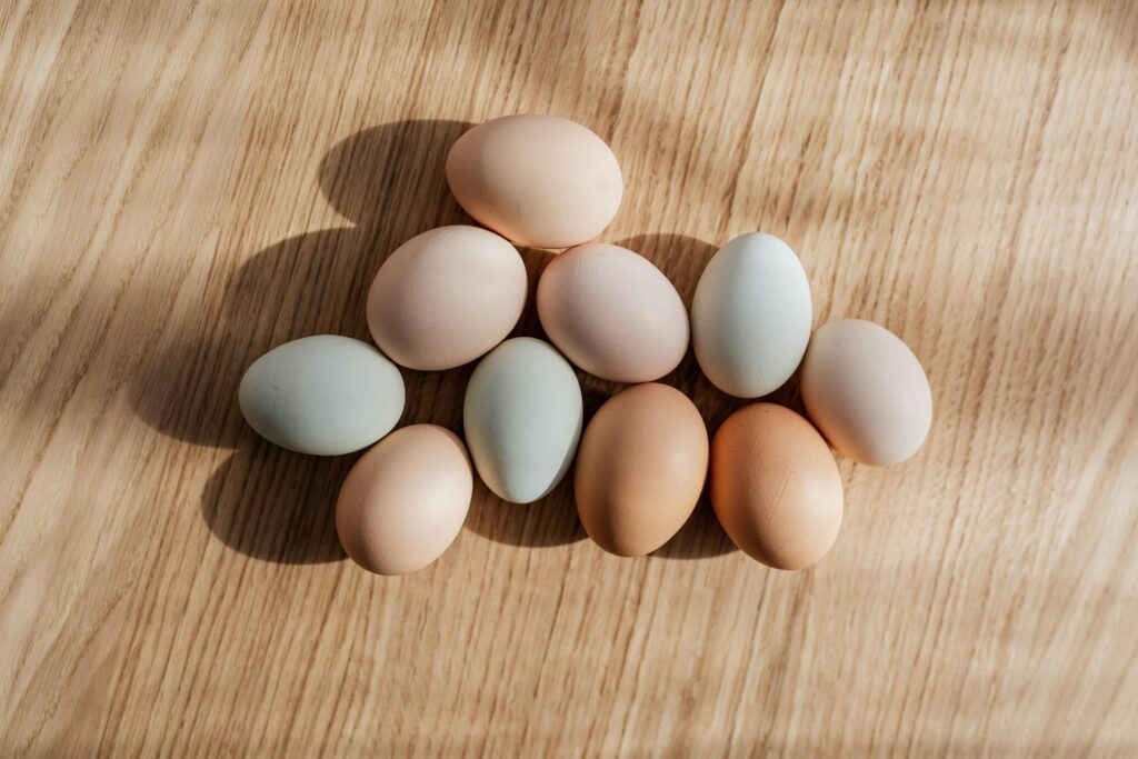 Eggs: A Must-Have for Your Child’s Diet”