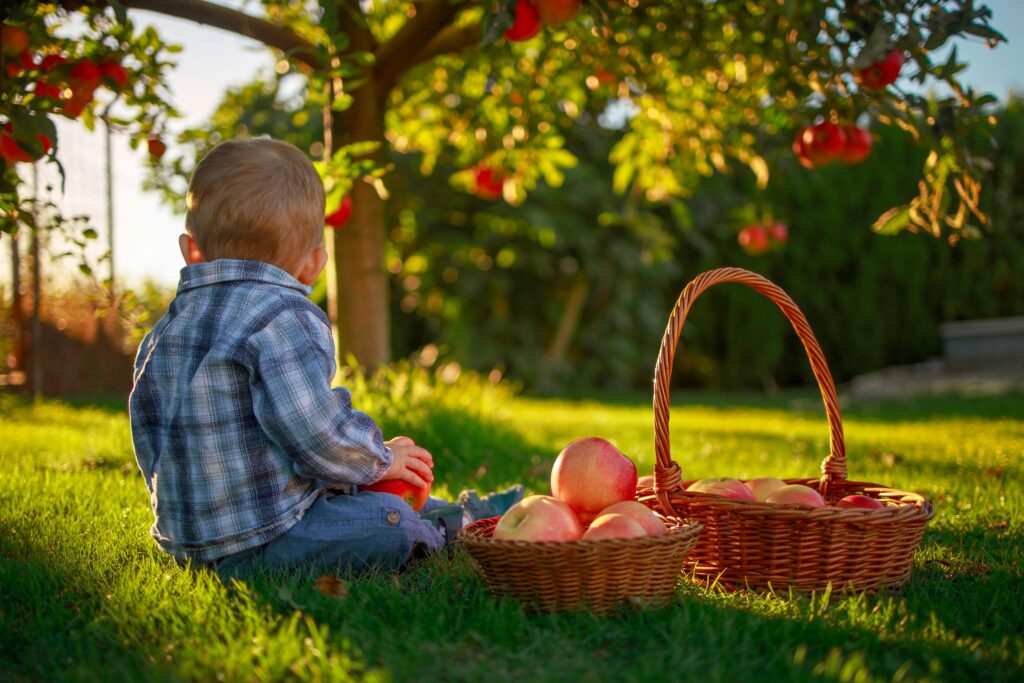 Introducing Fruits to Your Baby’s Diet